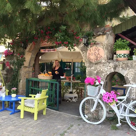 Doga Pension 3* Σιντέ