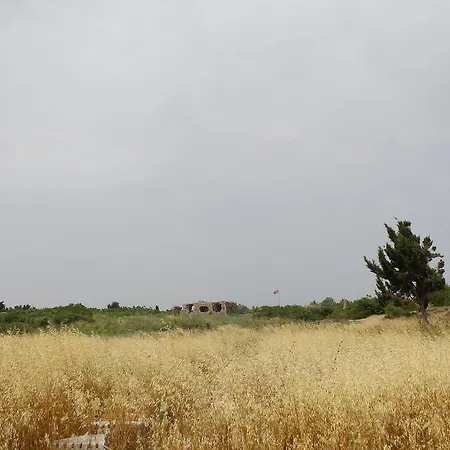 Ξενοδοχείο Doga Pension 3*