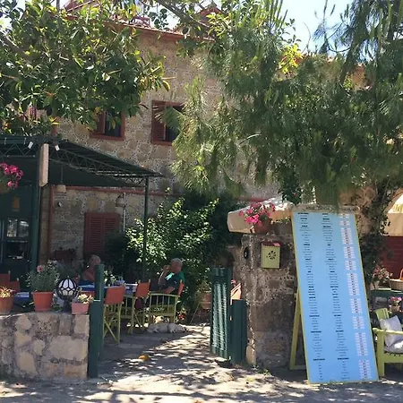 Doga Pension 3* Σιντέ