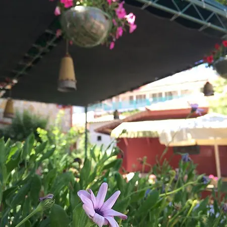 Doga Pension 3* Σιντέ