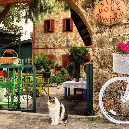 Doga Pension Ξενοδοχείο