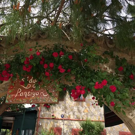 מלון Doga Pension 3*
