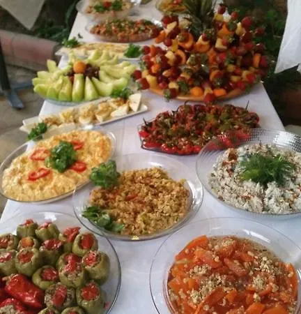 Doga Pension Ξενοδοχείο 3*