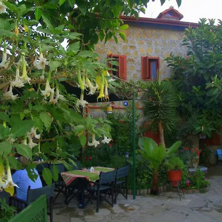 Doga Pension 3*