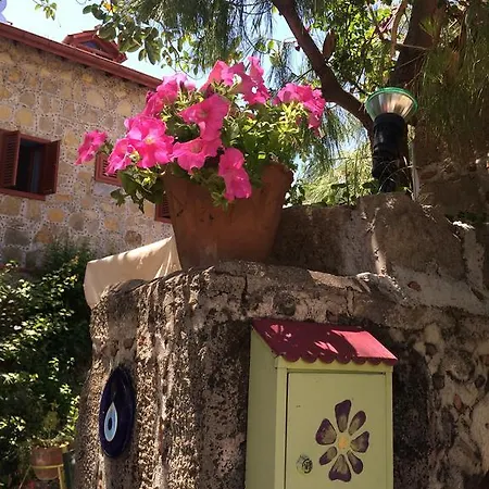 فندق Doga Pension 3*