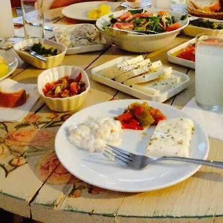 فندق Doga Pension