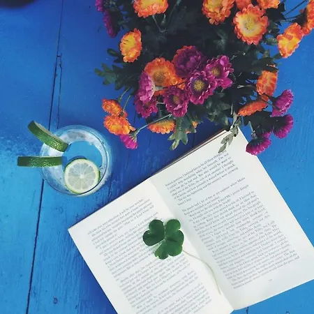 Doga Pension سيدي