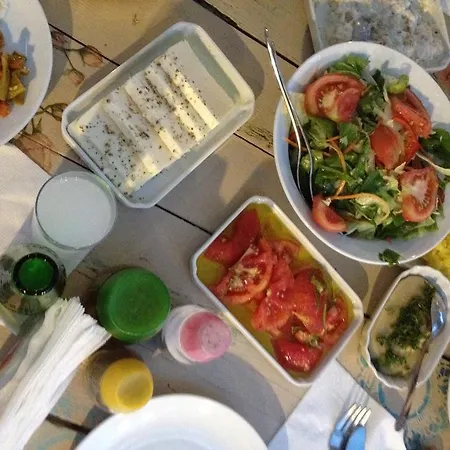 Doga Pension سيدي