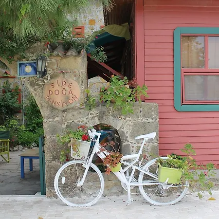 فندق Doga Pension