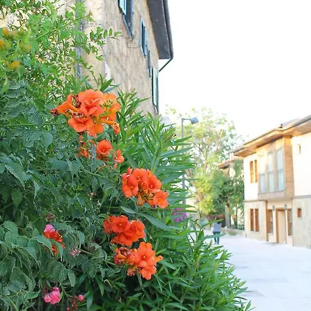 Doga Pension 3* سيدي