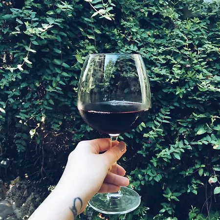 فندق Doga Pension 3*