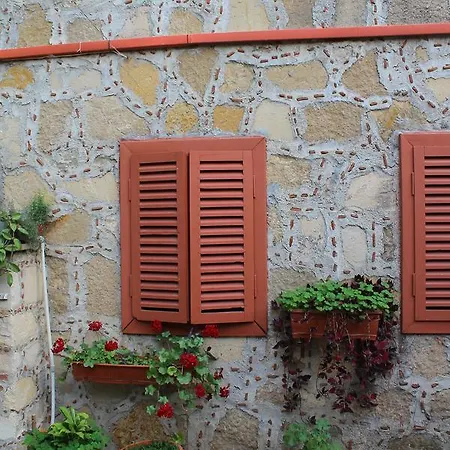 فندق Doga Pension