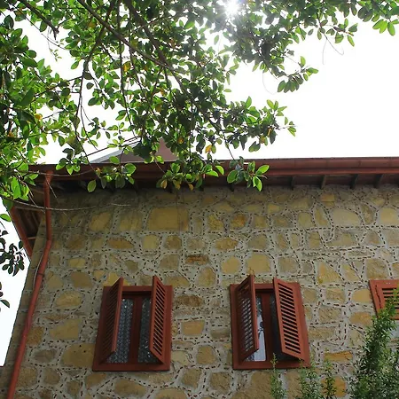 Doga Pension سيدي