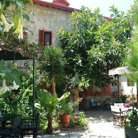 Doga Pension